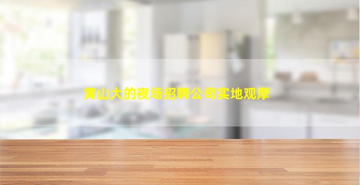 黄山大的夜场招聘公司实地观摩
